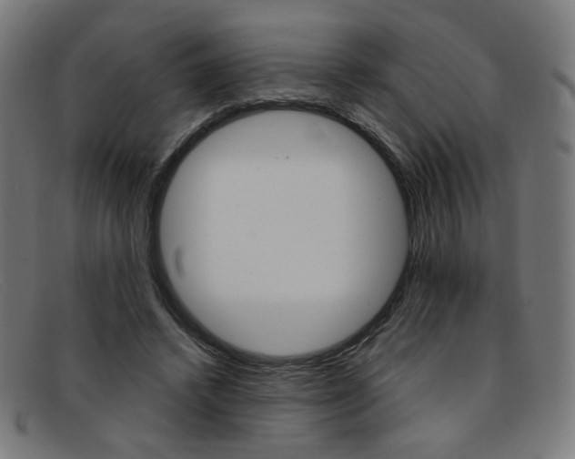 X0000092110448200709121133