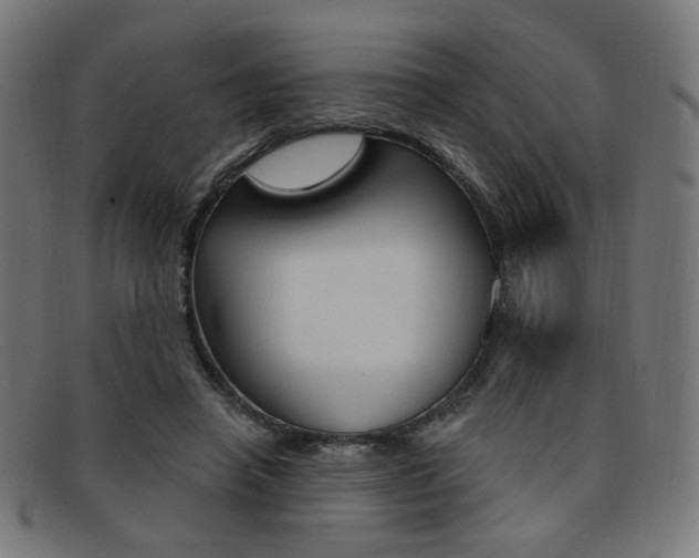 X0000092110450200709121133