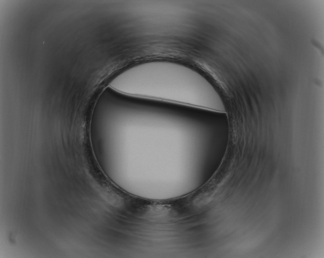 X0000092110451200709121133