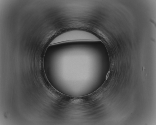 X0000092110452200709121133