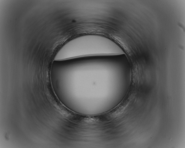 X0000092110453200709121133