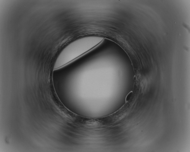 X0000092110454200709121133