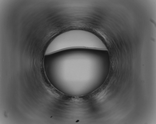 X0000092110455200709121133