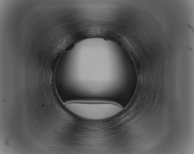 X0000092110458200709121133