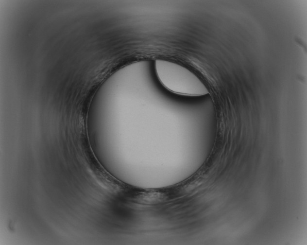 X0000092110459200709121133