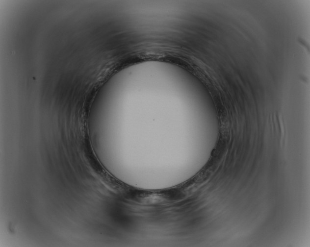 X0000092110460200709121133