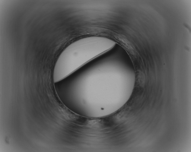 X0000092110461200709121133