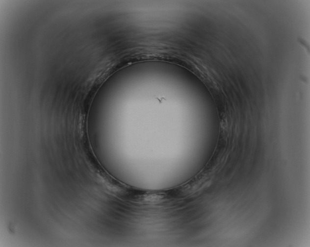 X0000092110462200709121133