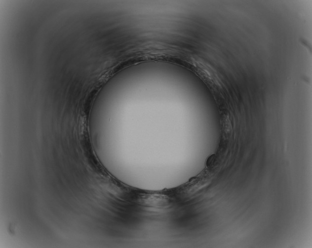 X0000092110463200709121133