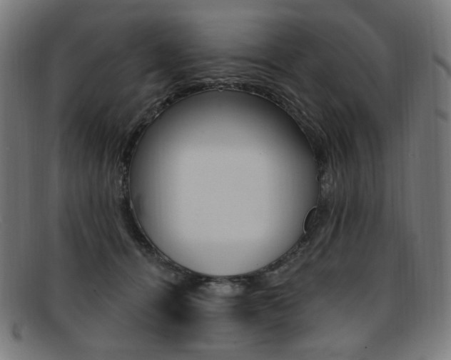X0000092110464200709121133