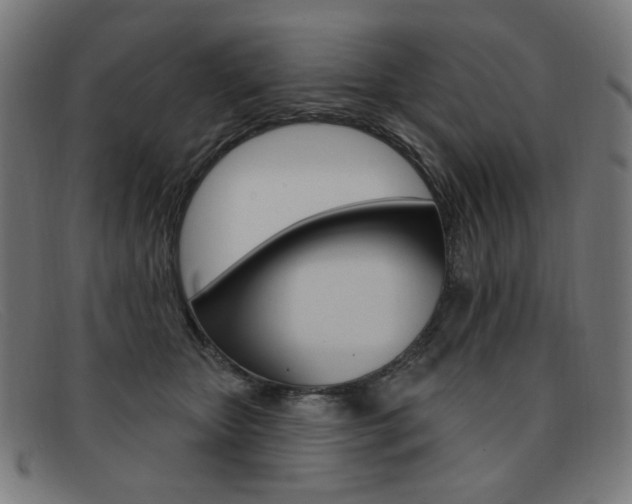 X0000092110467200709121133