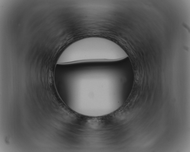 X0000092110470200709121133