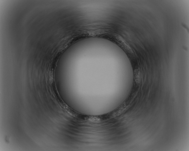 X0000092110471200709121133
