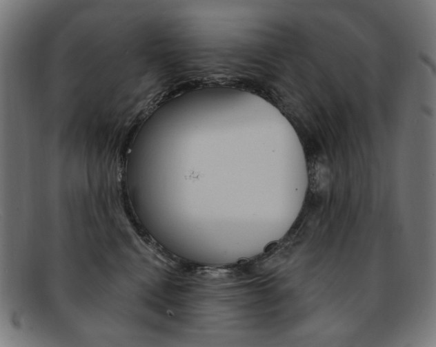 X0000092110472200709121133