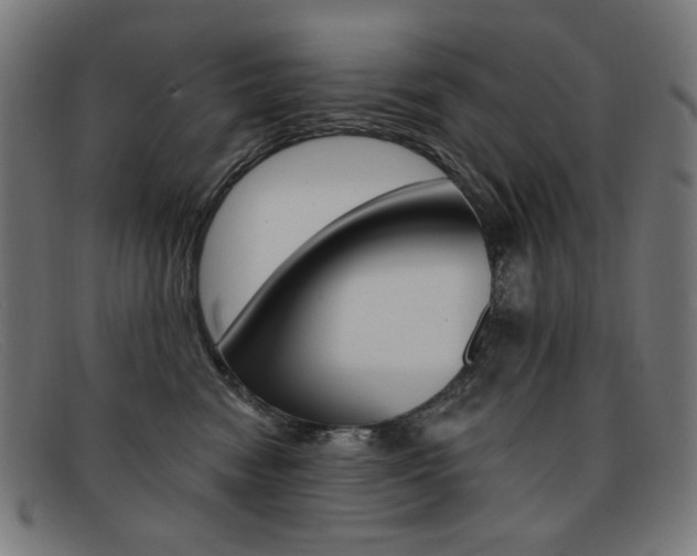 X0000092110474200709121133