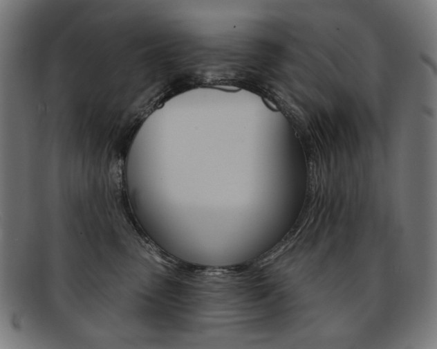 X0000092110475200709121133