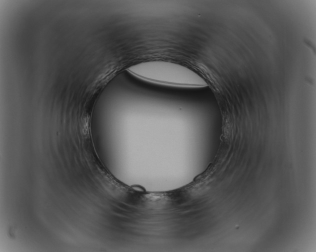 X0000092110477200709121133