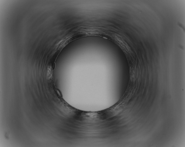 X0000092110478200709121133