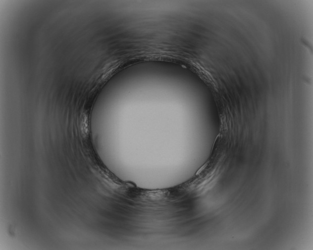 X0000092110479200709121133