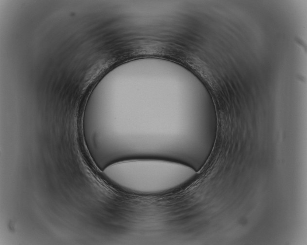X0000092110482200709121132