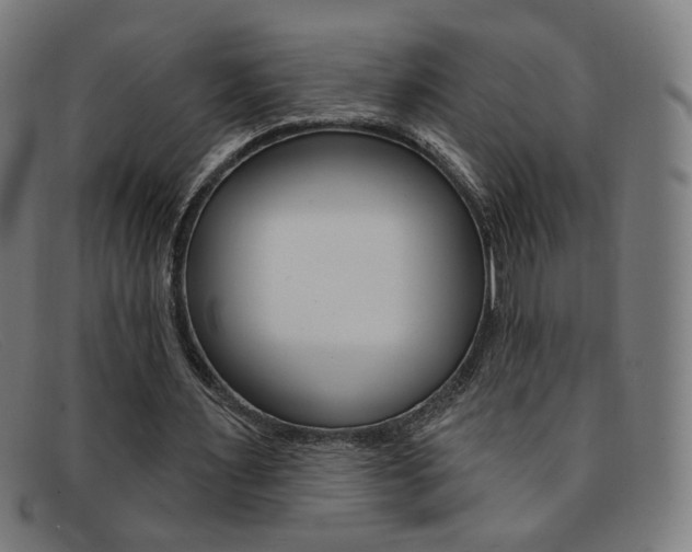 X0000092110483200709121132