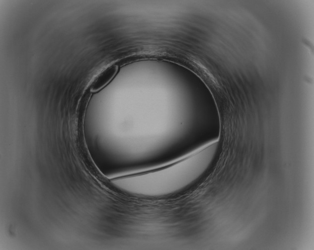 X0000092110484200709121132