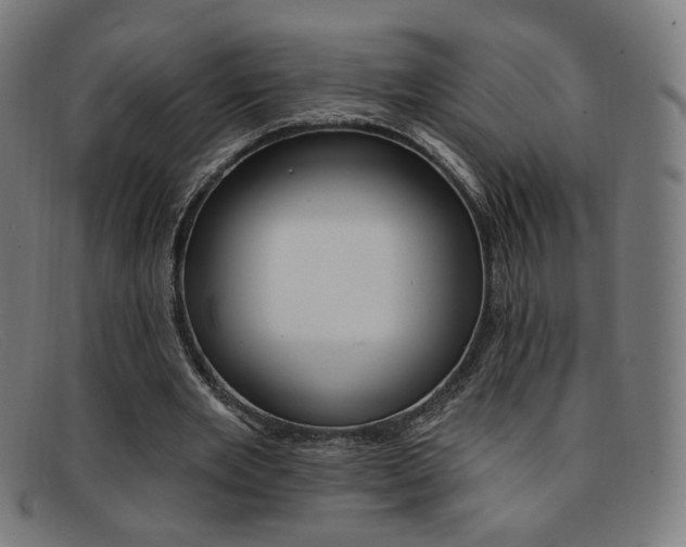 X0000092110485200709121132