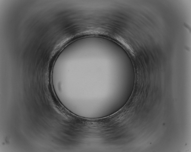 X0000092110486200709121132