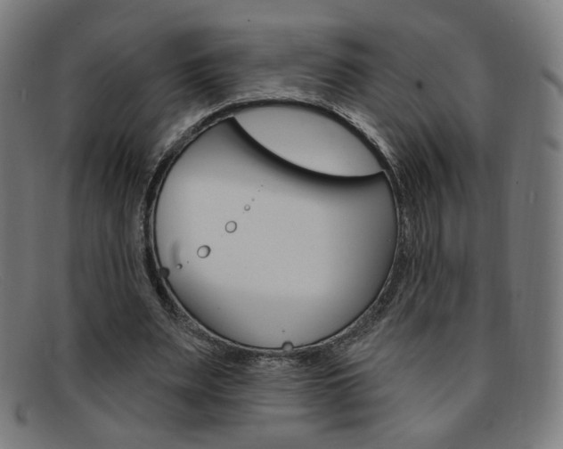 X0000092110487200709121132