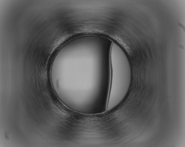 X0000092110488200709121132