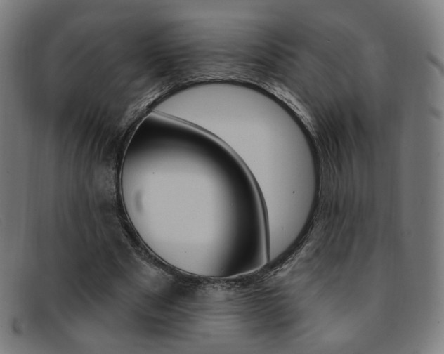 X0000092110489200709121132