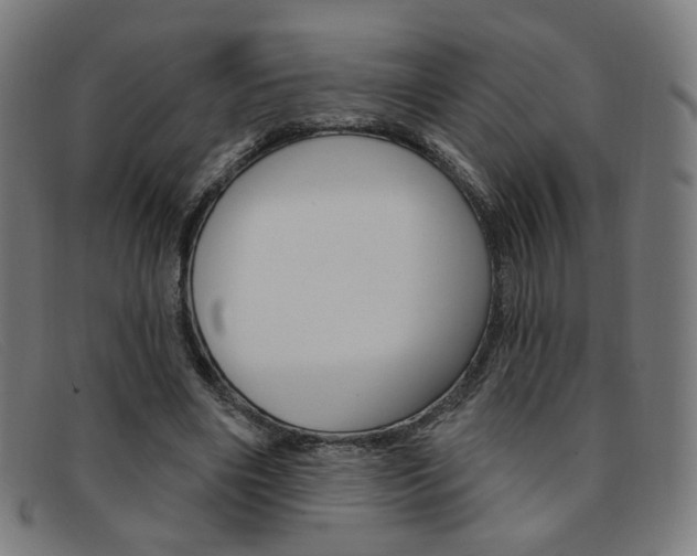 X0000092110490200709121132