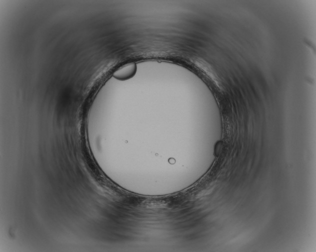 X0000092110491200709121132