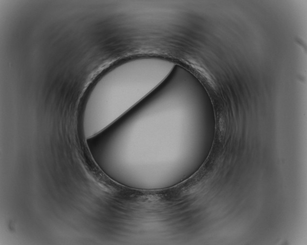 X0000092110492200709121132