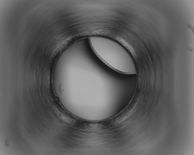 X0000092110493200709121132
