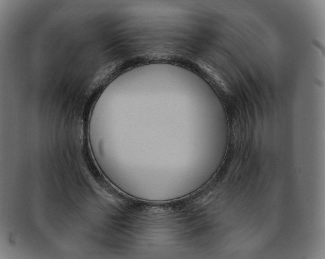 X0000092110494200709121132