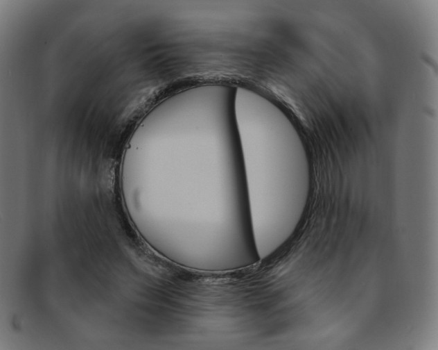 X0000092110495200709121132