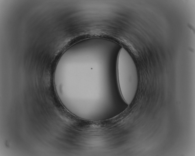 X0000092110496200709121132