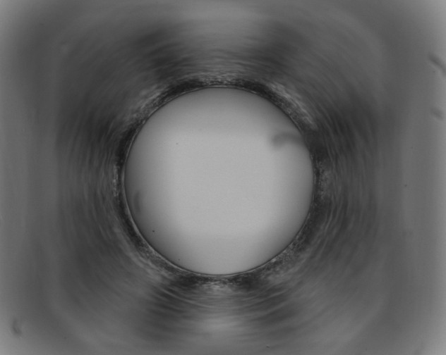 X0000092110498200709121132