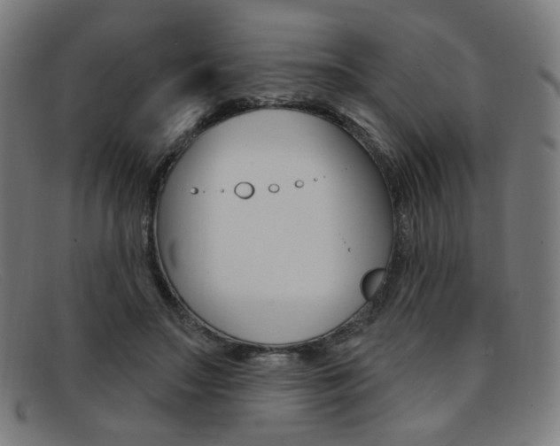 X0000092110499200709121132