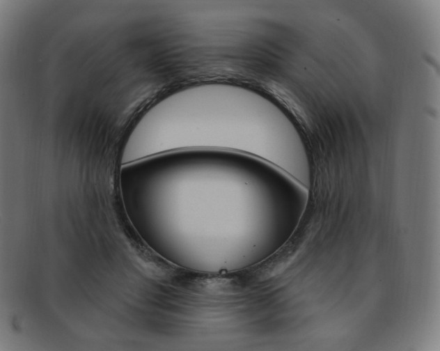 X0000092110501200709121132