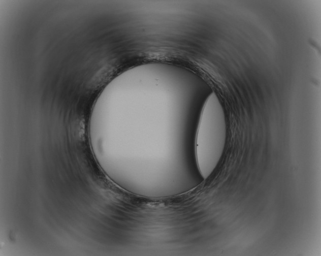 X0000092110502200709121132