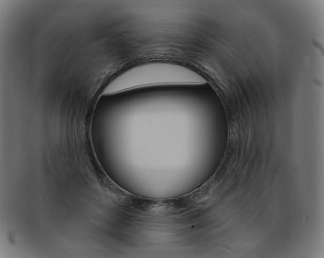 X0000092110504200709121132