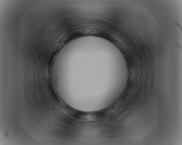 X0000092110506200709121132