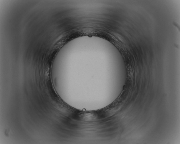 X0000092110507200709121132