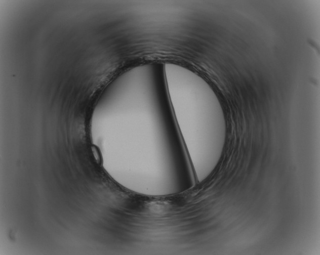 X0000092110508200709121132