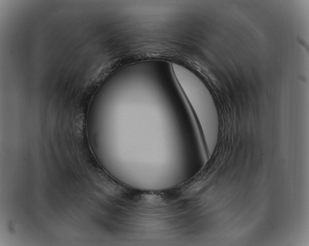 X0000092110509200709121132