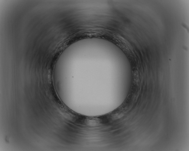 X0000092110510200709121132
