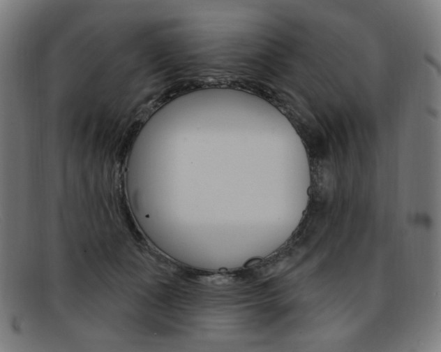 X0000092110511200709121132
