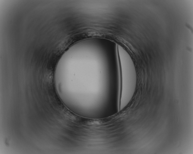 X0000092110513200709121132